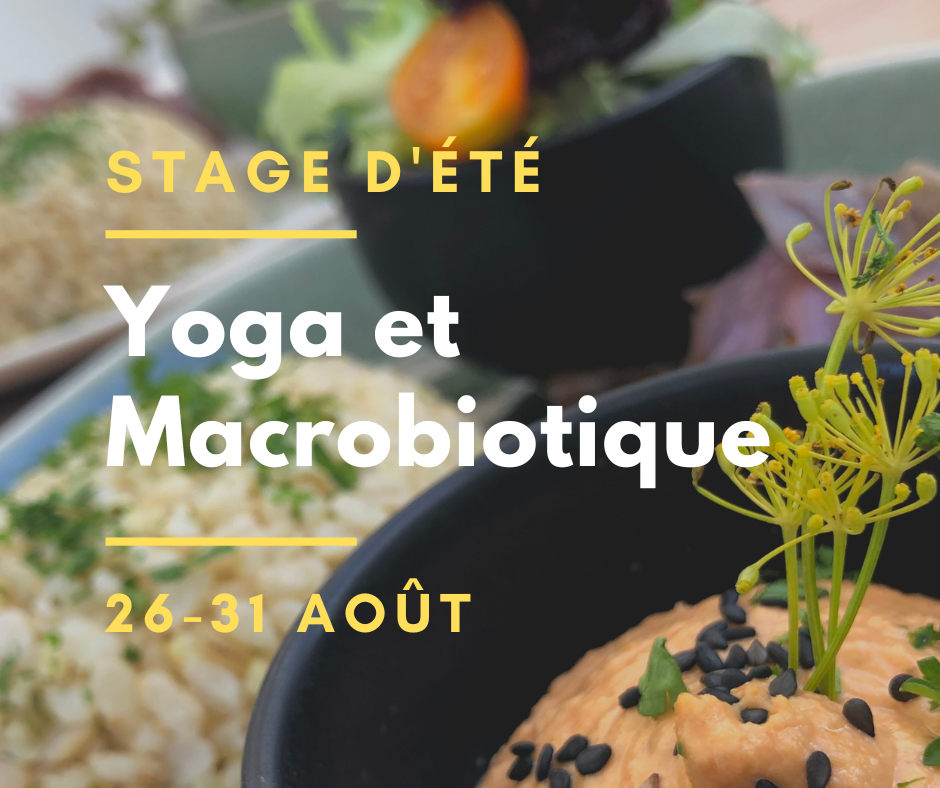 stage d'été lyon