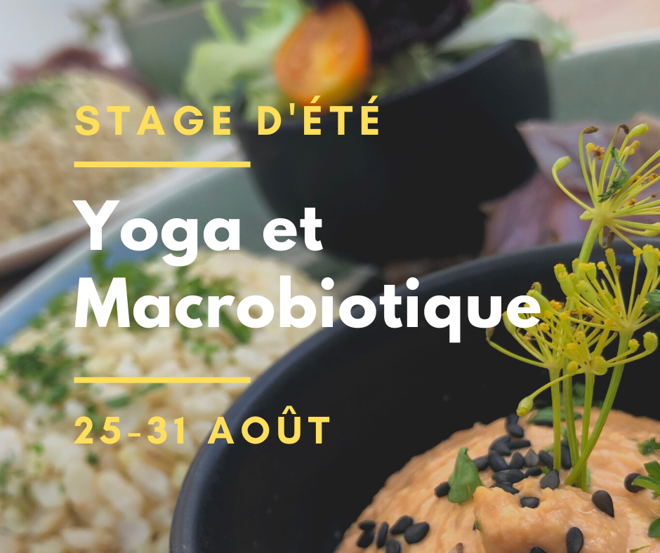 Lire la suite à propos de l’article Stage Yoga & Macrobiotique 2023