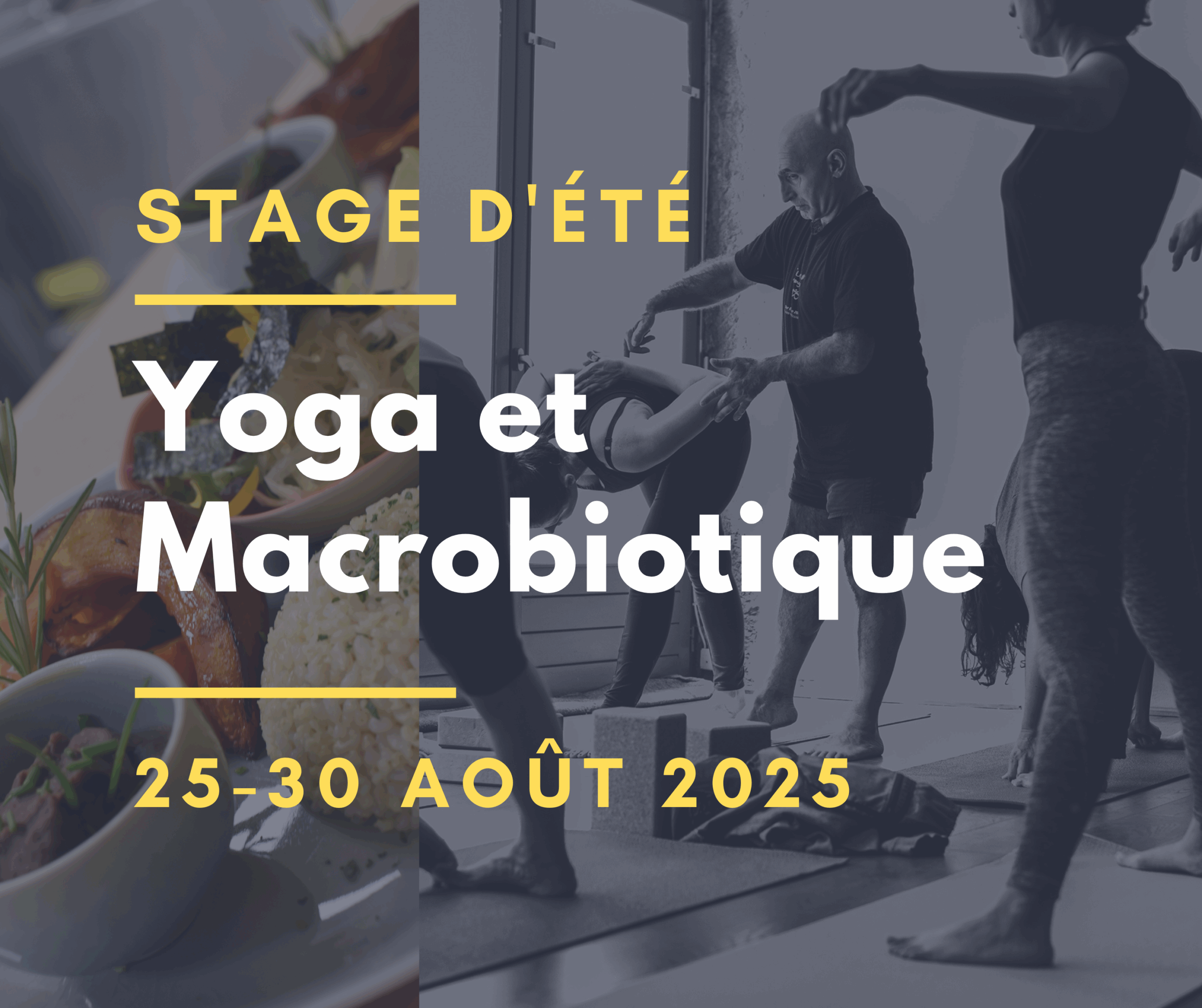 Lire la suite à propos de l’article Stage Yoga & Macrobiotique 2025