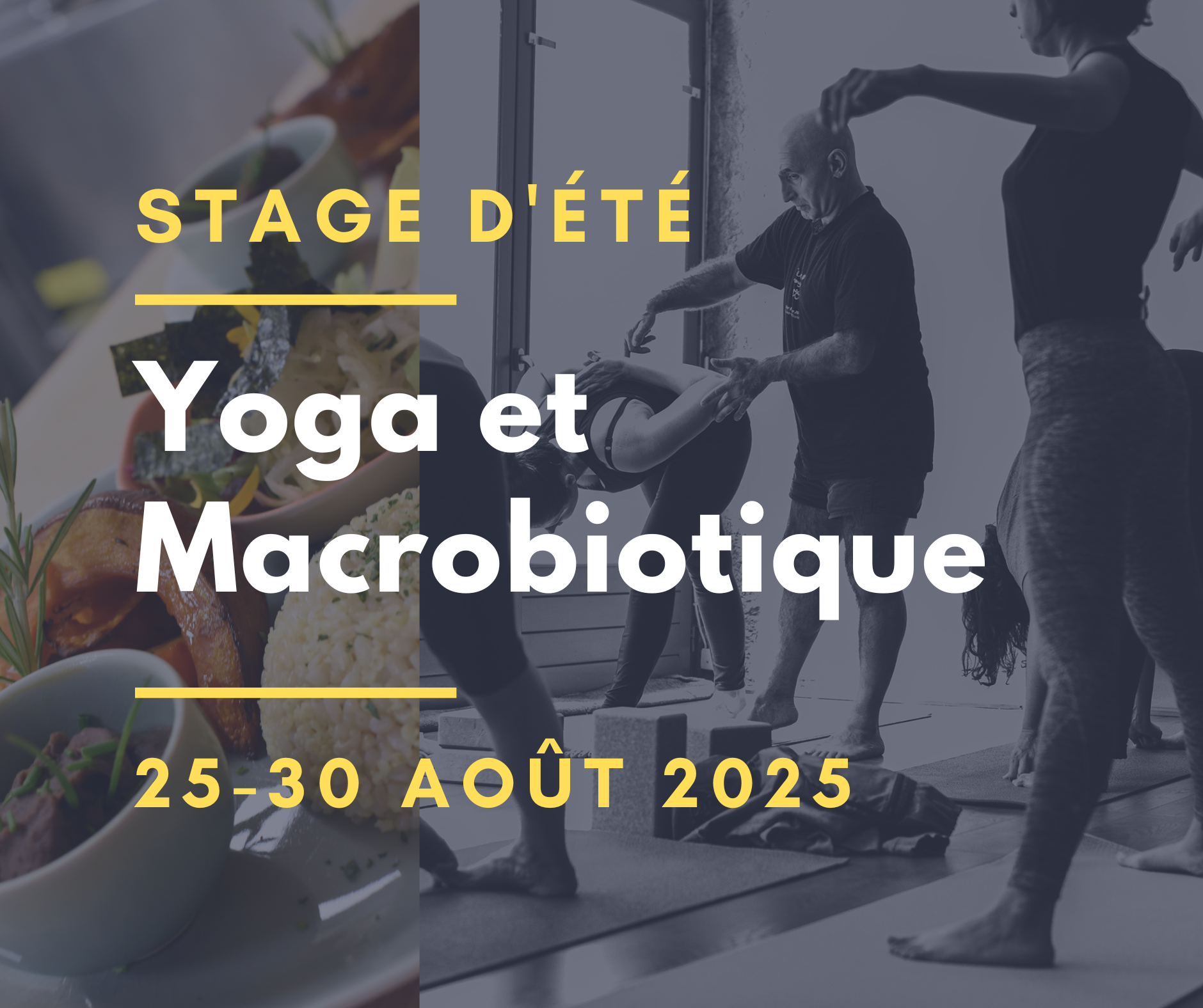 Lire la suite à propos de l’article Stage Yoga & Macrobiotique 2025