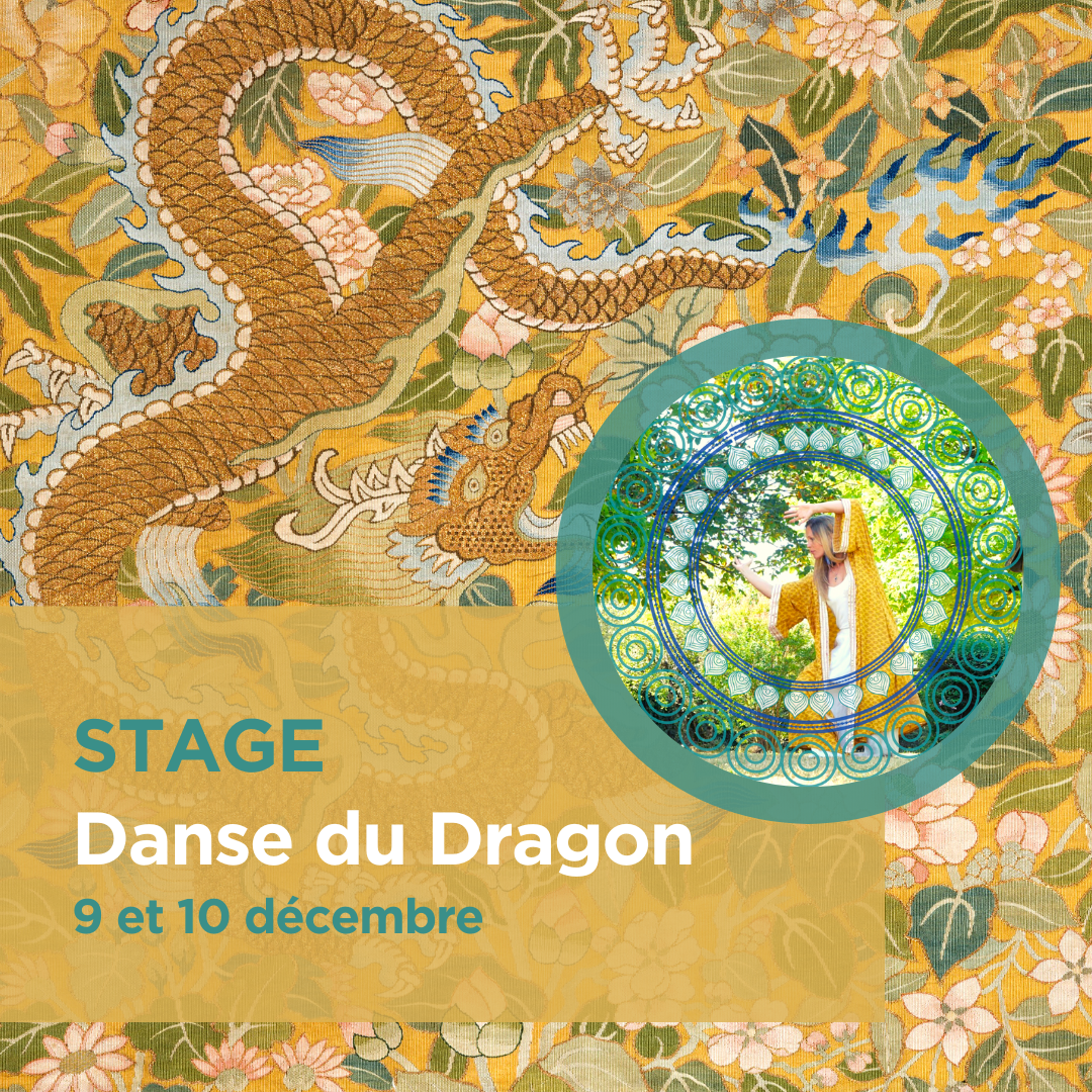 Lire la suite à propos de l’article Stage Danse du dragon